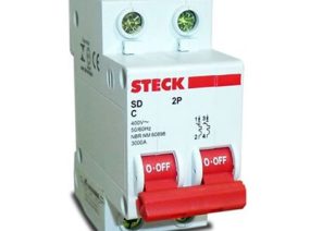 Steck_bi